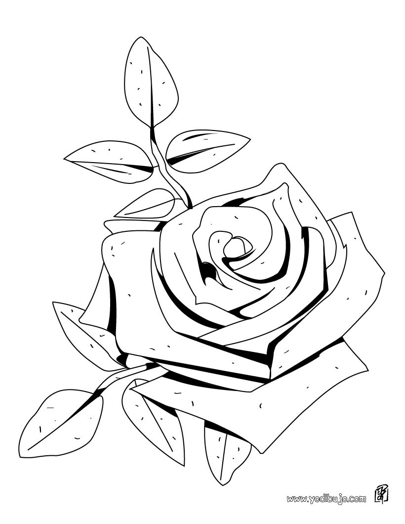 Dibujos para colorear una rosa - es.hellokids.com