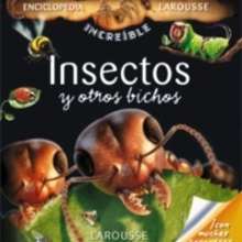 Insectos y otros bichos - Lecturas Infantiles - Libros infantiles : LAROUSSE Y VOX