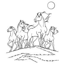 Dibujo para colorear : Spirit el caballo Mustang