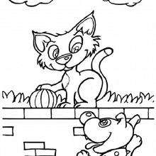 Dibujo para colorear : Gato en la pared
