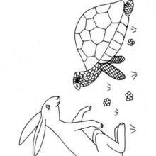 Dibujo para colorear tortuga y liebre - Dibujos para Colorear y Pintar - Dibujos para colorear ANIMALES - Dibujos REPTILES para colorear - Colorear dibujos TORTUGA - Dibujos para imprimir TORTUGAS
