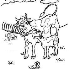 Dibujo para colorear : Una vaca con su ternero