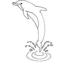 Dibujo de delfín - Dibujos para Colorear y Pintar - Dibujos para colorear ANIMALES - Colorear DELFINES