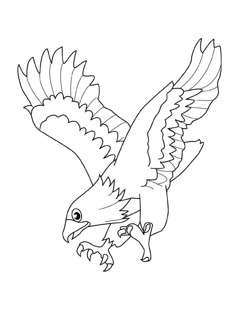 Dibujos para colorear vuelo del águila 