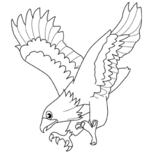 Dibujo vuelo del águila - Dibujos para Colorear y Pintar - Dibujos para colorear ANIMALES - Dibujos AVES para colorear - Dibujo para colorear AGUILA