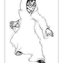 Dibujo de Harry Potter con su capa de invisibilidad - Dibujos para Colorear y Pintar - Dibujos de PELICULAS colorear - Dibujos para colorear HARRY POTTER - Dibujos para pintar HARRY POTTER