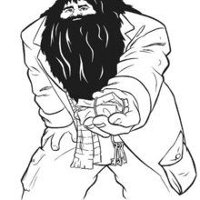 Dibujo para colorear : Hagrid, el semi-gigante