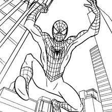 Dibujo para colorear : Spiderman con su tela de araña