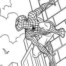 Dibujo para colorear : Spiderman suspendido