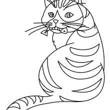 Dibujo para colorear : un gato comiendo pescado