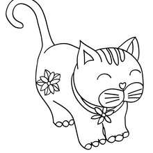 Dibujo para colorear gatito bonito - Dibujos para Colorear y Pintar - Dibujos para colorear ANIMALES - Dibujos GATOS para colorear - Dibujos para colorear GATITOS