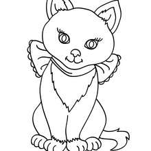 Dibujo para colorear cachorro de gato Siames - Dibujos para Colorear y Pintar - Dibujos para colorear ANIMALES - Dibujos GATOS para colorear - Dibujos para pintar GATOS SIAMESES