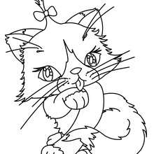 Dibujo para colorear : cachorro gato angora