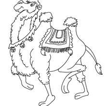 Dibujo para colorear : Camello Alto