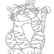 Dibujo de gato callejero para pintar - Dibujos para Colorear y Pintar - Dibujos para colorear ANIMALES - Dibujos GATOS para colorear - Dibujos para colorear GATO CALLEJERO