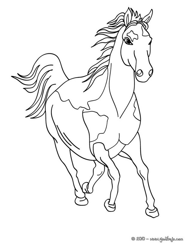 Dibujos para colorear caballo cimarron 
