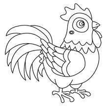 Dibujo para colorear : gallo