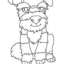 Dibujo para colorear : Cachorro Foxterrier con Pelo duro