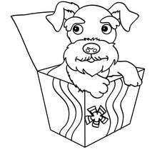 Dibujo cachorro Foxterrier para colorear - Dibujos para Colorear y Pintar - Dibujos para colorear ANIMALES - Dibujos PERROS para colorear - Dibujos para pintar un PERRO FOX TERRIER