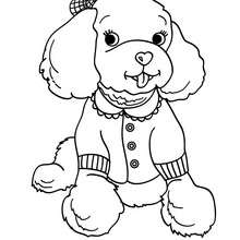 Dibujo para colorear cachorro Cocker Spaniel - Dibujos para Colorear y Pintar - Dibujos para colorear ANIMALES - Dibujos PERROS para colorear - Dibujos para colorear PERRO COCKER