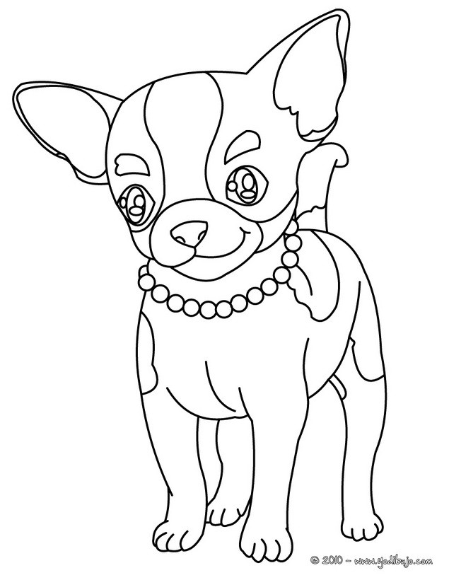 Dibujos para colorear perro chihuahua 