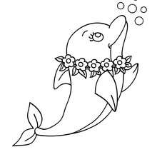 Dibujo para colorear un delfin Tahiti - Dibujos para Colorear y Pintar - Dibujos para colorear ANIMALES - Colorear DELFINES
