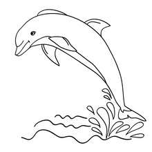 Dibujo para colorear : un delfin saltando