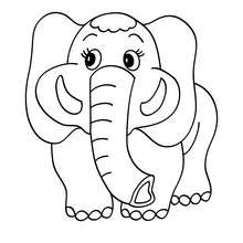 Dibujo para colorear : cachorro elefante