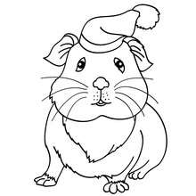 Dibujo para colorear : Hamster Chino