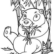Dibujo para colorear : Oso Panda come Bambú