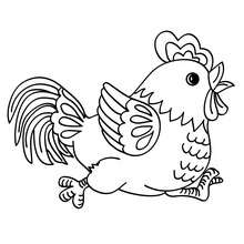 Dibujo para colorear : Pollito de Gallo