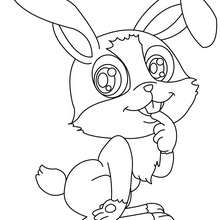 Dibujo para colorear : conejo chistoso