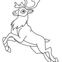 Dibujo para pintar un ciervo saltando - Dibujos para Colorear y Pintar - Dibujos para colorear ANIMALES - Dibujos ANIMALES SALVAJES para colorear - Dibujos ANIMALES DE LA SELVA para colorear - Colorear CIERVO