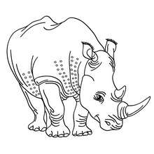 Dibujo para colorear : Rinoceronte Negro