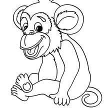 Dibujo para colorear : Mono chimpancé