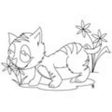 Dibujo de un gato y una flor - Dibujos para Colorear y Pintar - Dibujos para colorear ANIMALES - Dibujos GATOS para colorear - Dibujos para colorear e imprimir GATOS