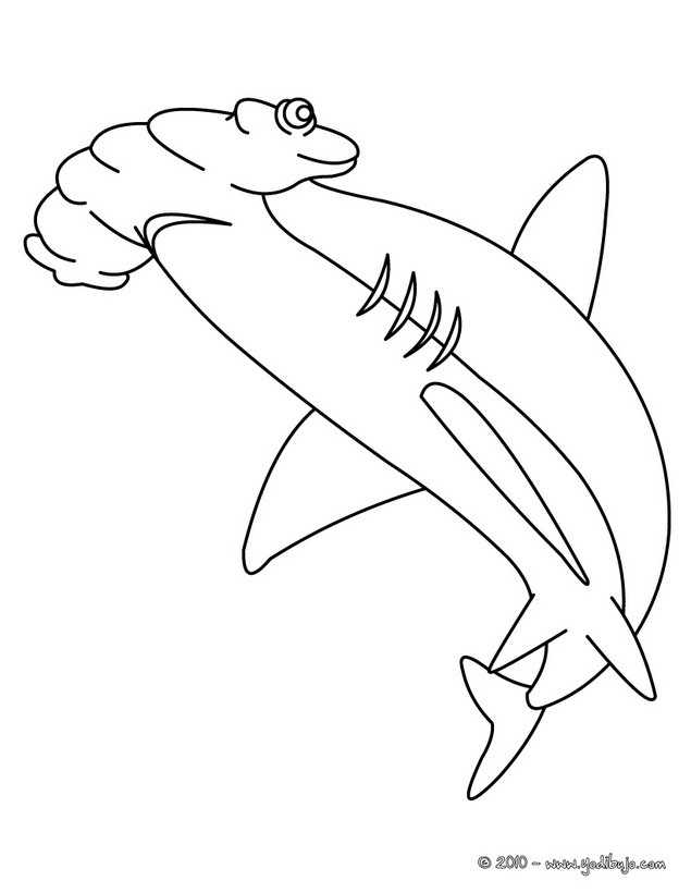 Dibujos para colorear tiburon martillo 