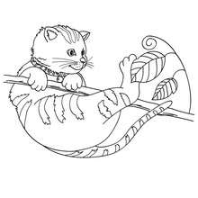 Dibujo de gato callejero jugando - Dibujos para Colorear y Pintar - Dibujos para colorear ANIMALES - Dibujos GATOS para colorear - Dibujos para colorear GATO CALLEJERO