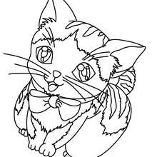 Dibujo de GATITO HERMOSO - Dibujos para Colorear y Pintar - Dibujos para colorear ANIMALES - Dibujos GATOS para colorear - Dibujos para colorear GATITOS