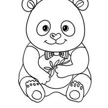 Dibujo para colorear : bebe OSO PANDA