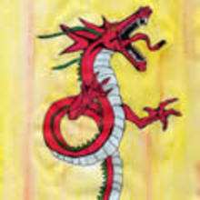 dragón, Dibujos de DRAGONES