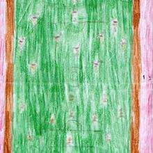 Dibujo de Nicolas Conde - 8 años - Dibujar Dibujos - Dibujos de NIÑOS - Dibujos de DEPORTES - Dibujos de los juegos olimpicos del CPI Pecalama - Tordoia (A Coruña)