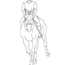 Dibujo para colorear : doma de un caballo por un jinete