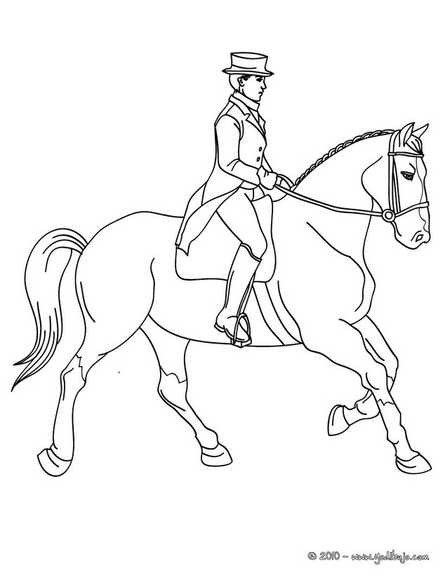 Dibujos para colorear una jinete que adiestra un caballo 