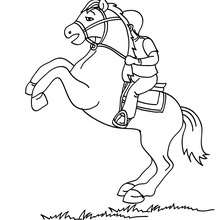 Dibujo de caballo sobre sus patas traseras - Dibujos para Colorear y Pintar - Dibujos para colorear DEPORTES - Dibujos de EQUITACION para colorear - Dibujos de DOMA para colorear