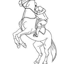 Dibujo de caballo que se niega a responder al jinete - Dibujos para Colorear y Pintar - Dibujos para colorear DEPORTES - Dibujos de EQUITACION para colorear - Dibujos de DOMA para colorear