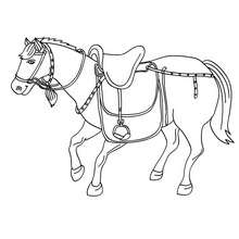 Dibujo de un caballo con su silla - Dibujos para Colorear y Pintar - Dibujos para colorear DEPORTES - Dibujos de EQUITACION para colorear - Dibujos para pintar CENTRO ECUESTRE