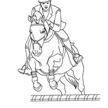 Dibujo para colorear : un caballo saltando un obstaculo