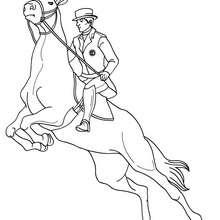 Dibujo para colorear : un jinete a caballo en un concurso de salto de obstaculos
