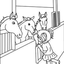 Dibujo para colorear : una niña acariciendo caballos en su box